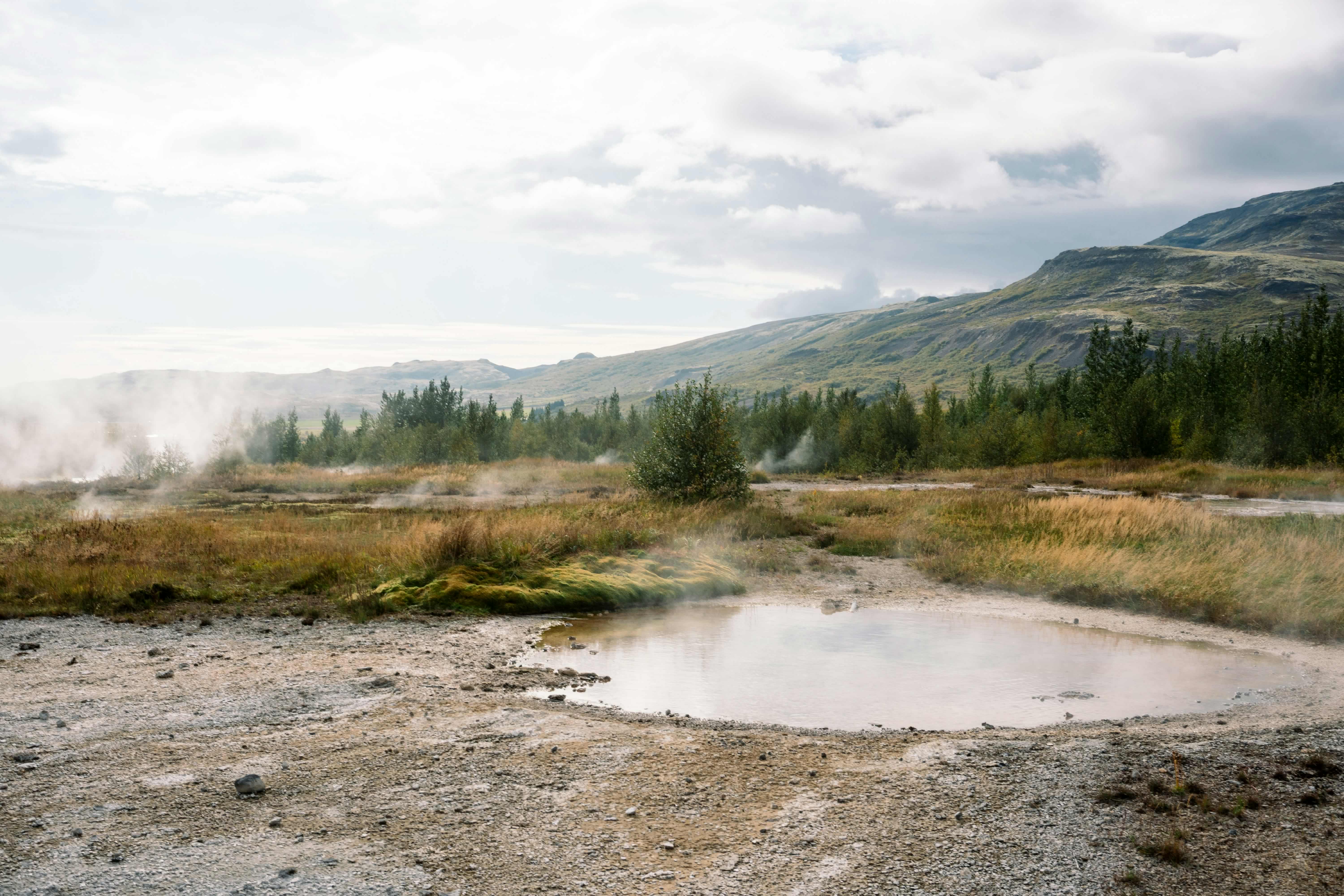 Forest Lagoon option near Akureyri in Iceland