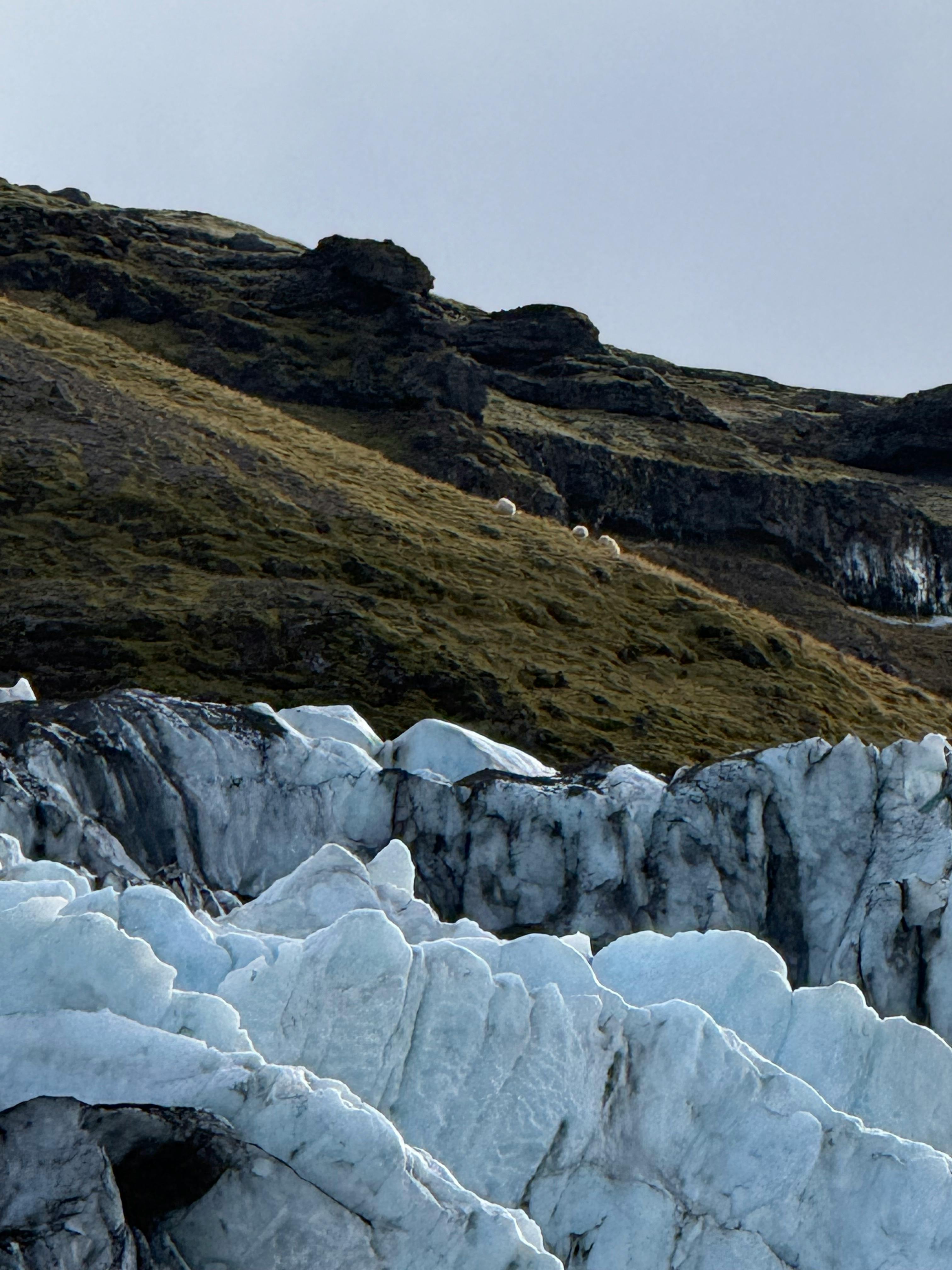 East Fjords private road journey in Iceland